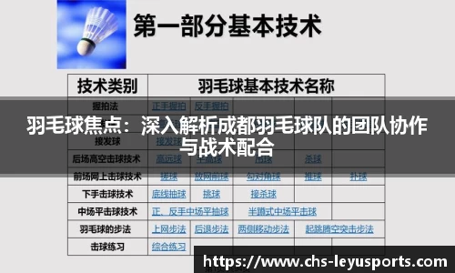 羽毛球焦点：深入解析成都羽毛球队的团队协作与战术配合